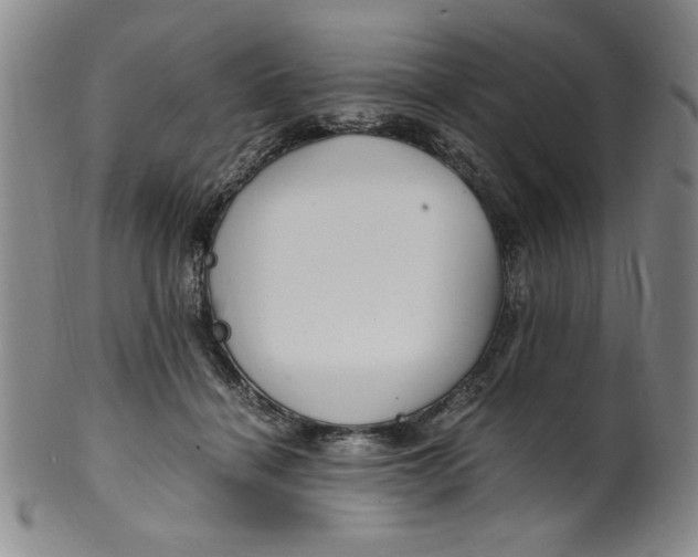 X0000100380460200806271338