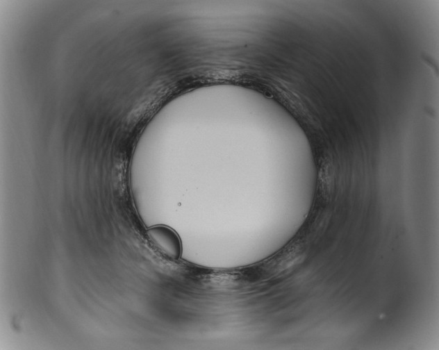 X0000100380462200806271338