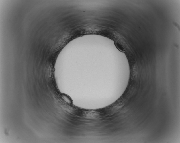 X0000100380463200806271338