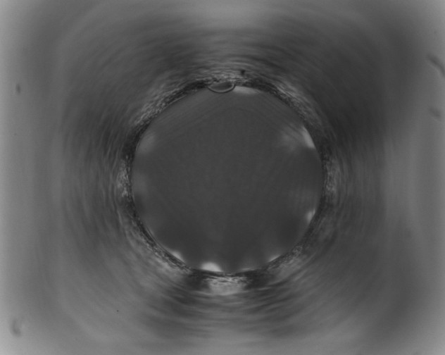 X0000100380465200806271338