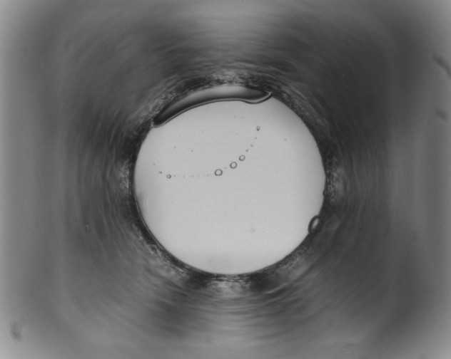 X0000100380466200806271338