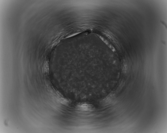 X0000100380467200806271338