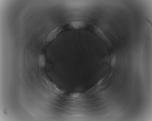 X0000100380471200806271338