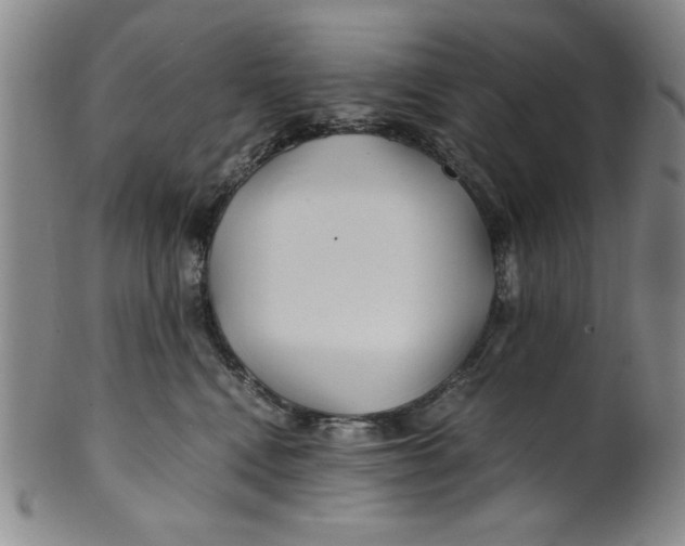 X0000100380472200806271338