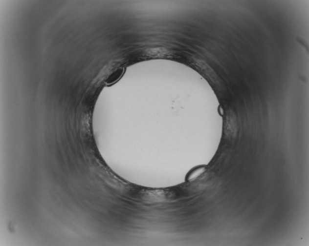 X0000100380473200806271338