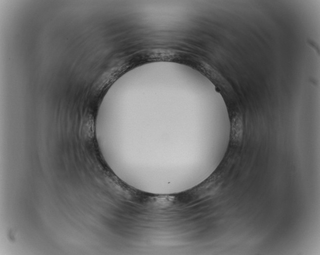 X0000100380474200806271338