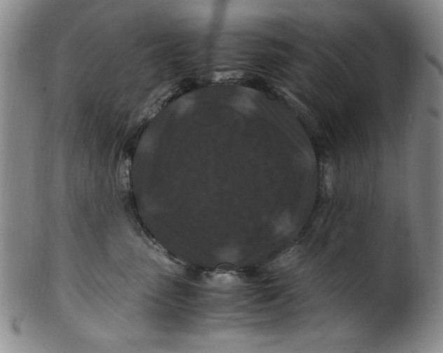 X0000100380475200806271338
