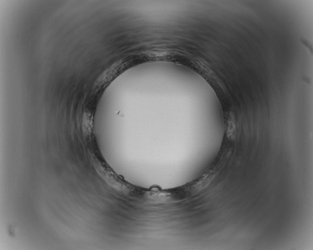X0000100380476200806271338