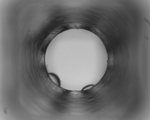 X0000100380477200806271338