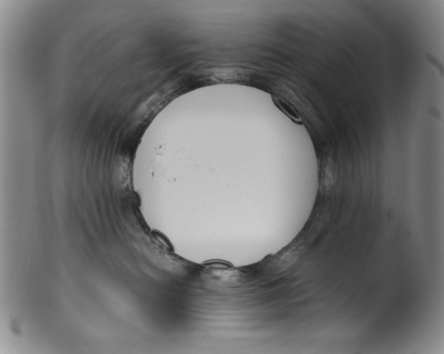 X0000100380478200806271338
