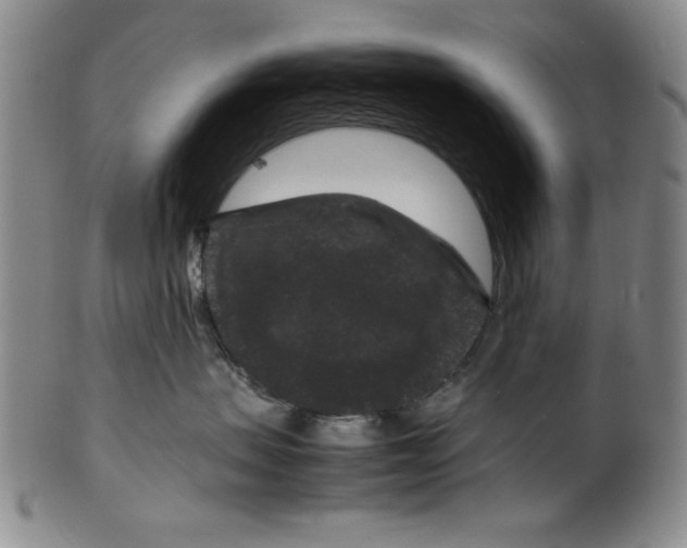 X0000100380479200806271338