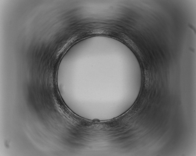 X0000100380482200806271338