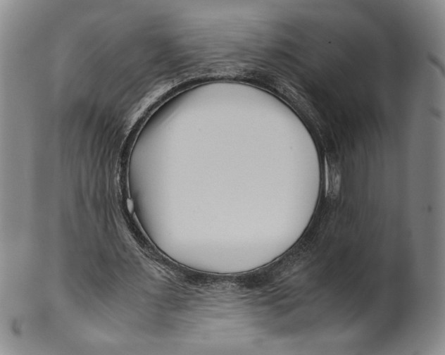 X0000100380483200806271338