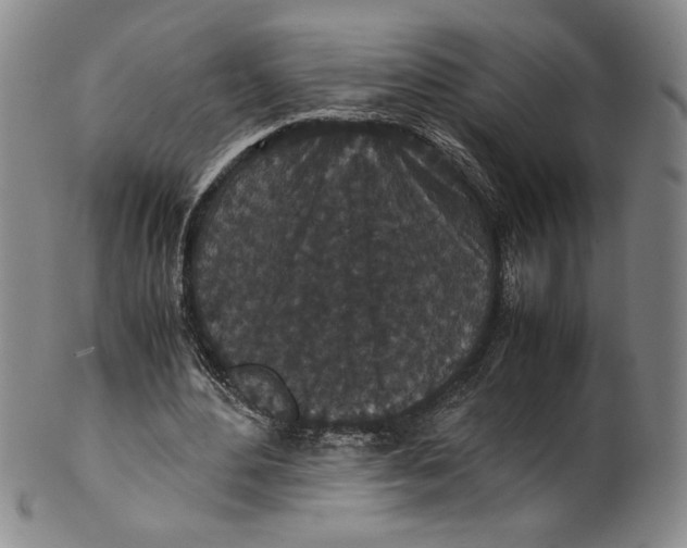 X0000100380484200806271338
