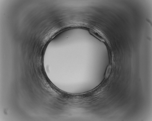 X0000100380485200806271338