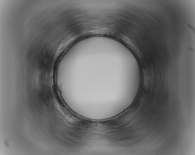 X0000100380486200806271338