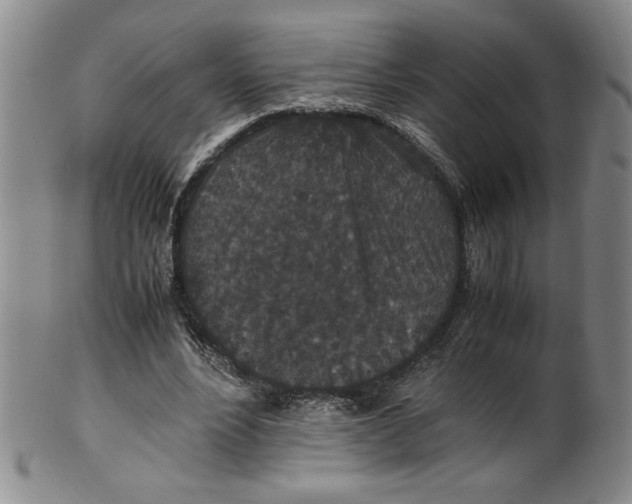 X0000100380488200806271338