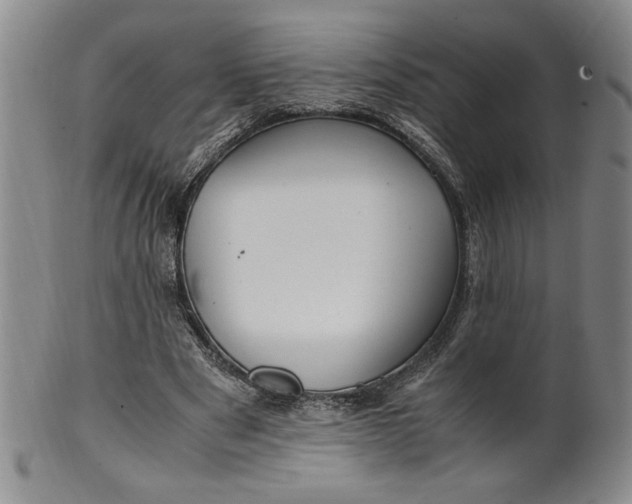 X0000100380489200806271338