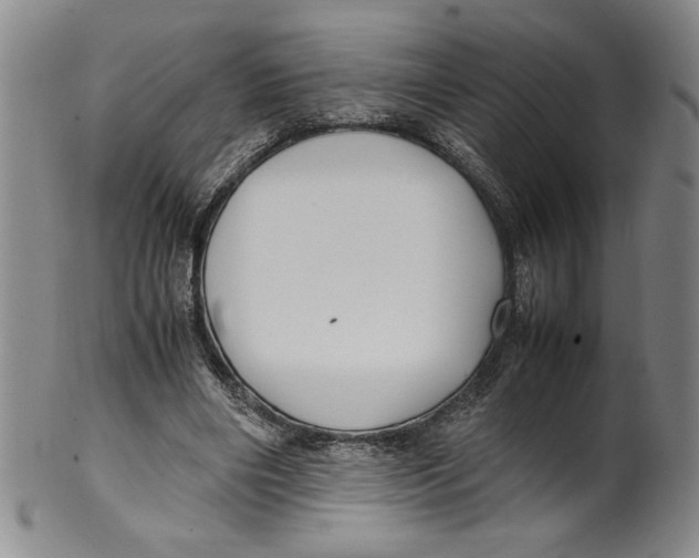 X0000100380490200806271338