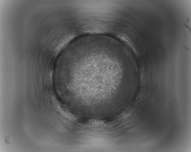 X0000100380491200806271338