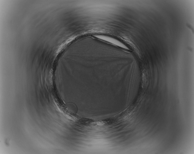 X0000100380492200806271338