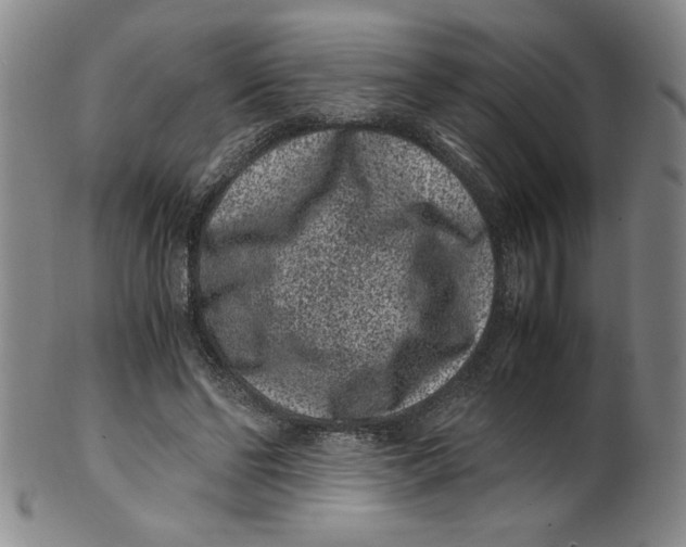 X0000100380494200806271338