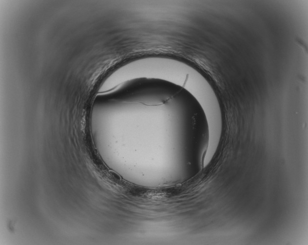 X0000100380495200806271337