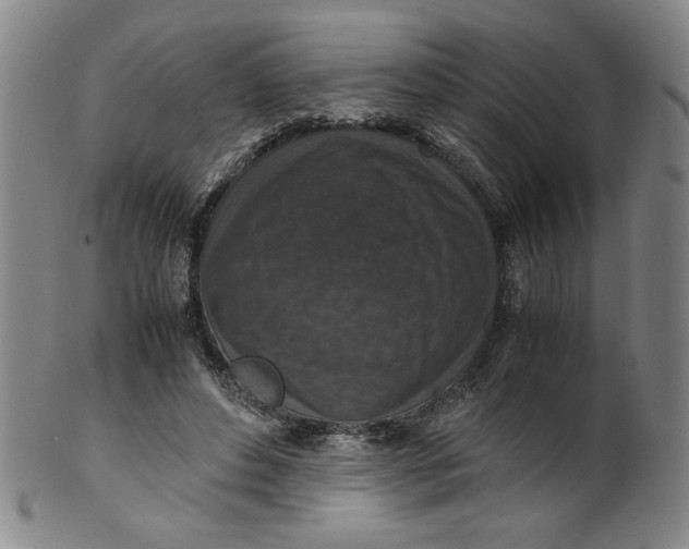 X0000100380496200806271337