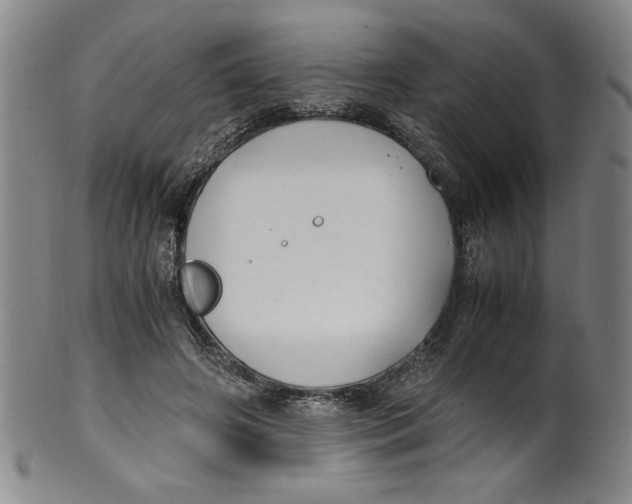 X0000100380498200806271337