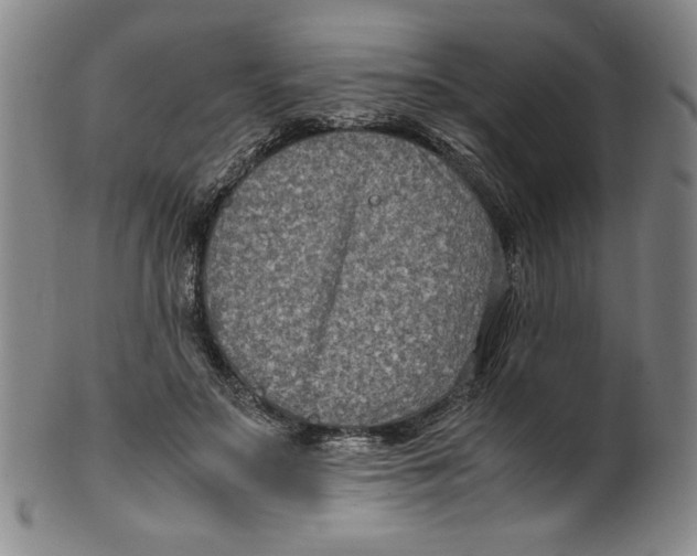 X0000100380499200806271337