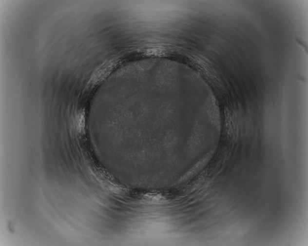 X0000100380502200806271337