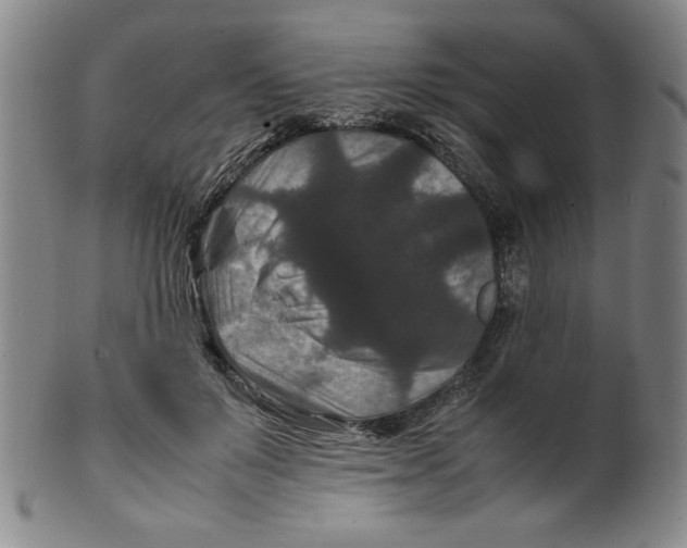 X0000100380503200806271337