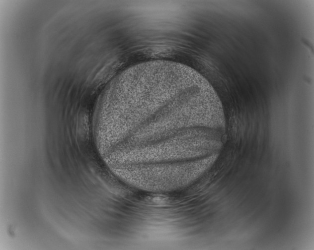 X0000100380506200806271337