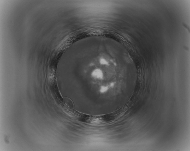 X0000100380507200806271337
