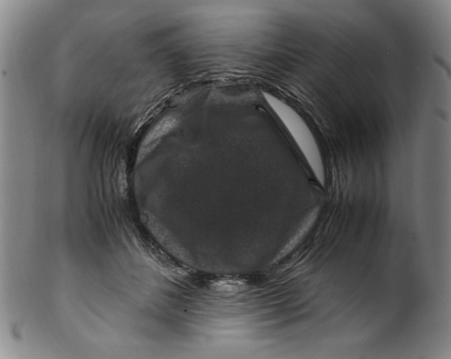X0000100380508200806271337