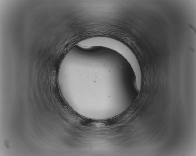 X0000100380509200806271337
