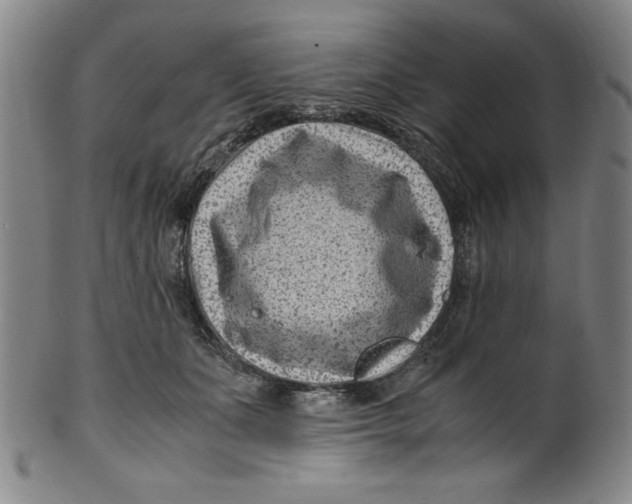X0000100380511200806271337