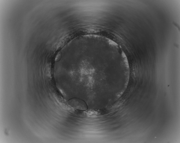 X0000100380512200806271337