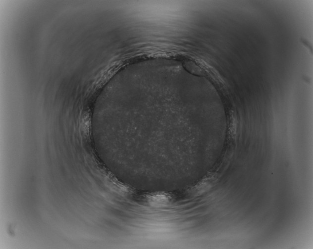 X0000100380513200806271337