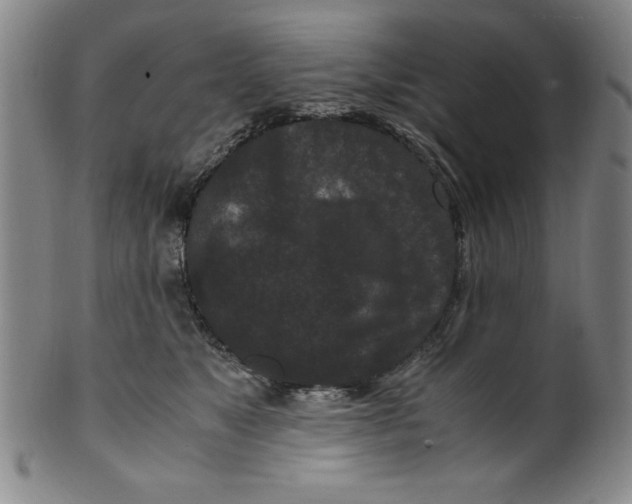 X0000100380517200806271337