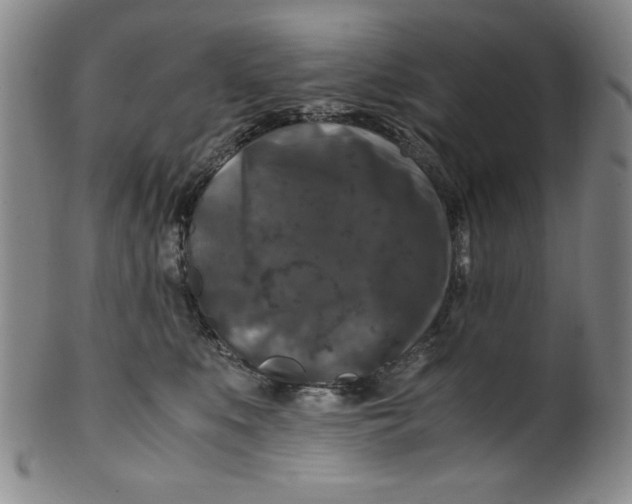 X0000100380519200806271337
