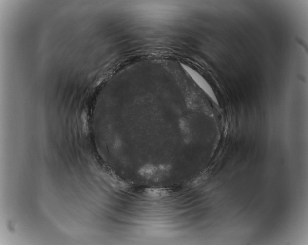 X0000100380520200806271337