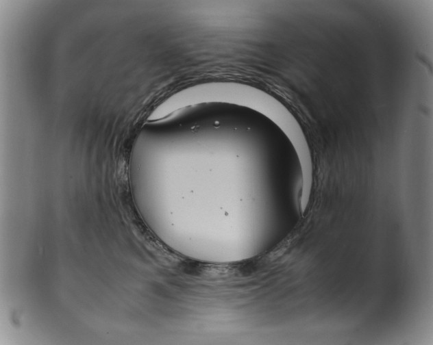 X0000100380521200806271337