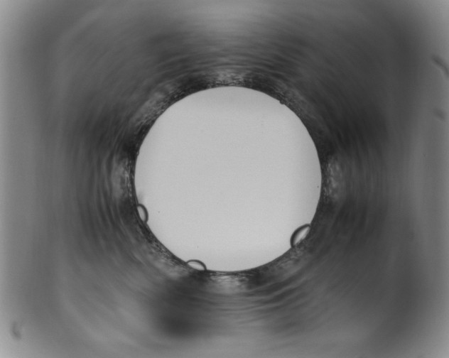 X0000100380522200806271337