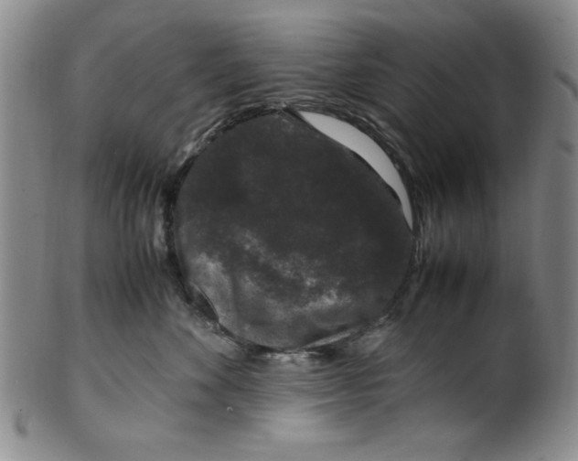 X0000100380524200806271337
