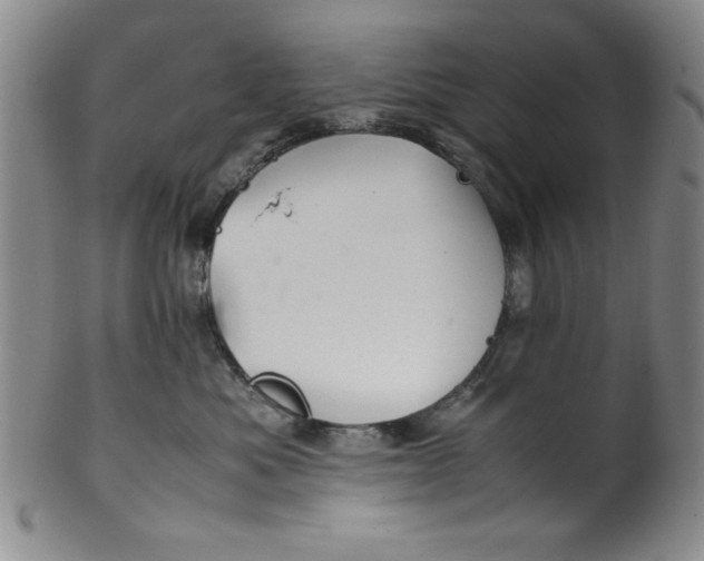 X0000100380525200806271337