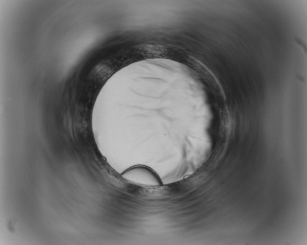 X0000100380526200806271337