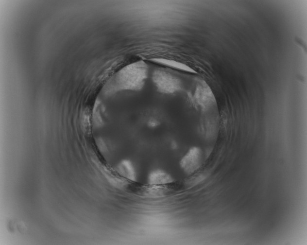 X0000100380527200806271337