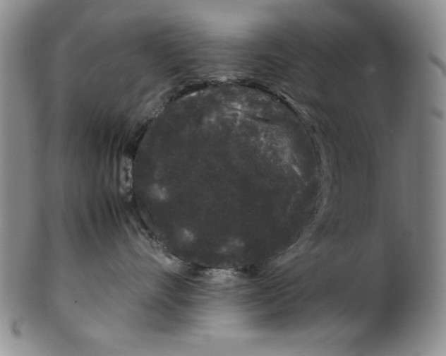 X0000100380528200806271337