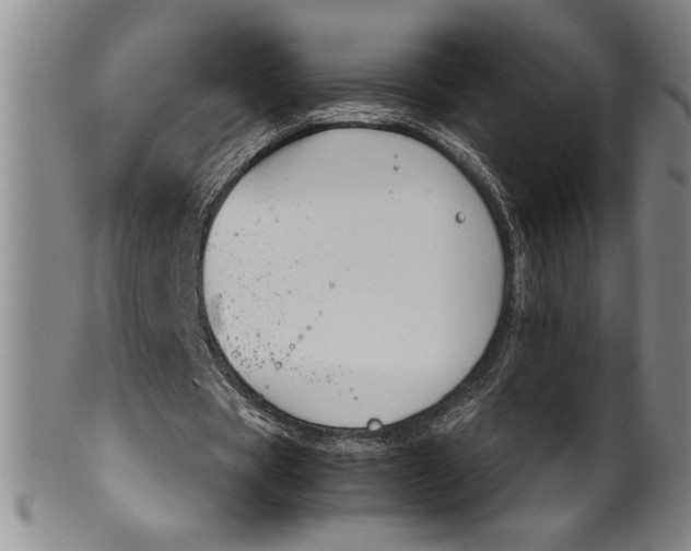 X0000100380529200806271336